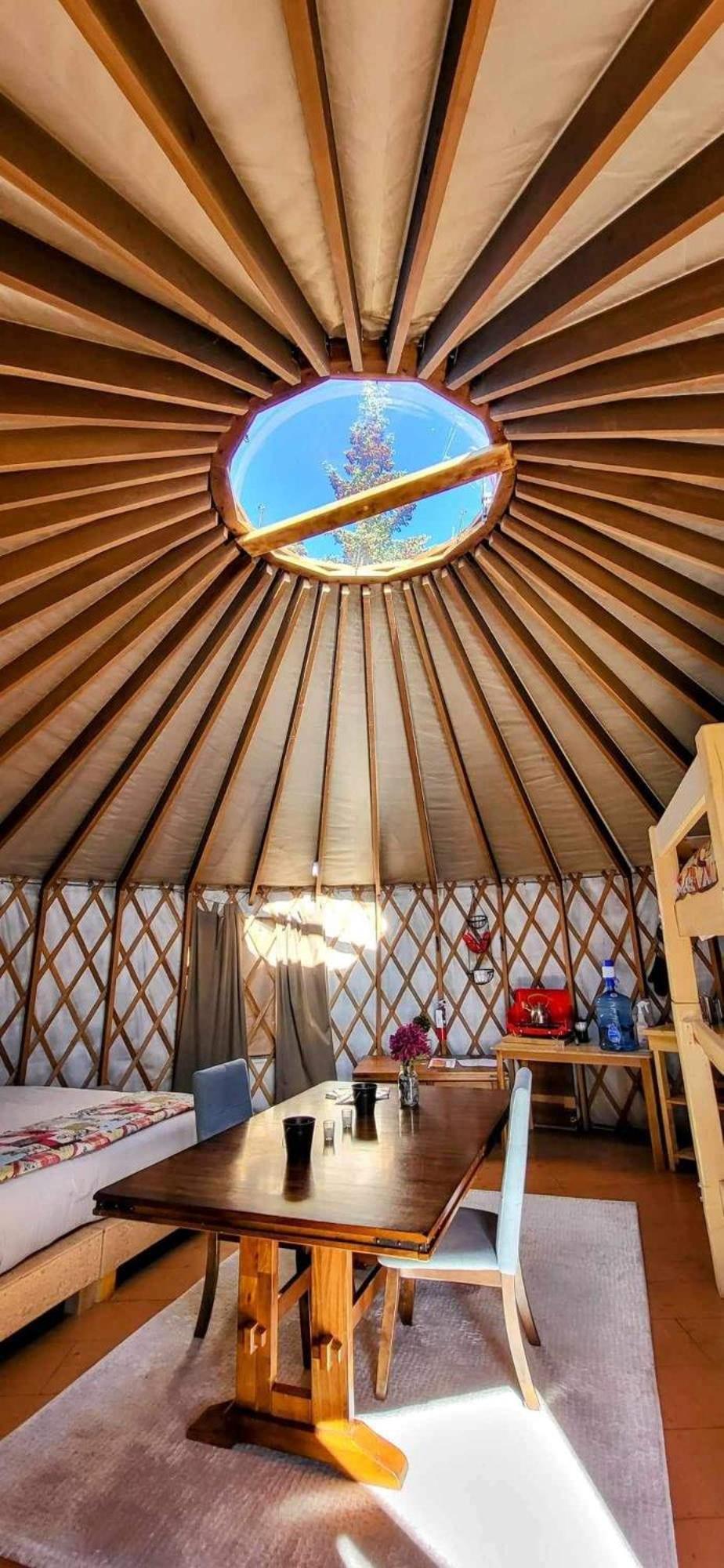 Mount Logan Ecolodge & Retreat Center Haines Junction Extérieur photo